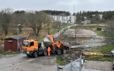 Famera ger träden en ny utsikt